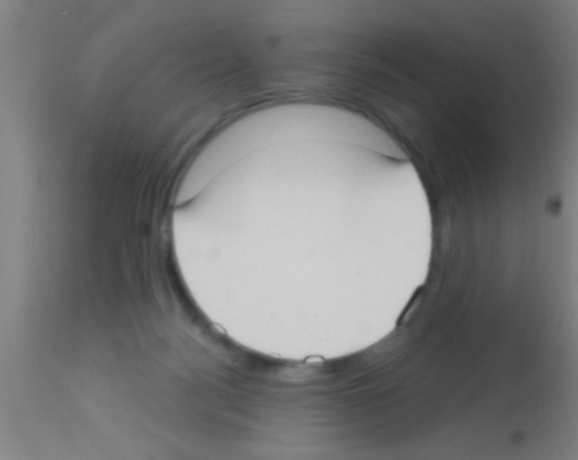 X0000113160172200910161252