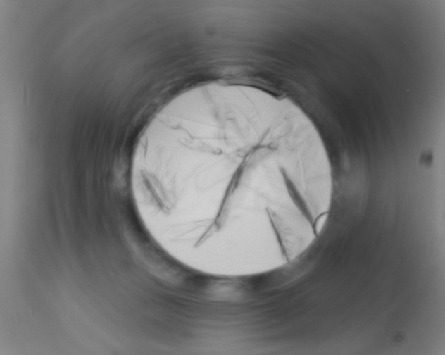 X0000113160175200910161253