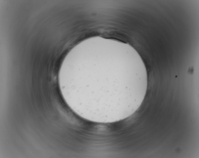 X0000113160176200910161253