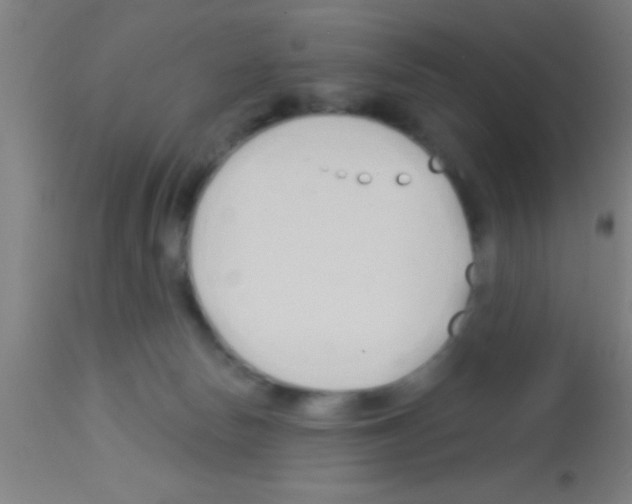 X0000113160178200910161253