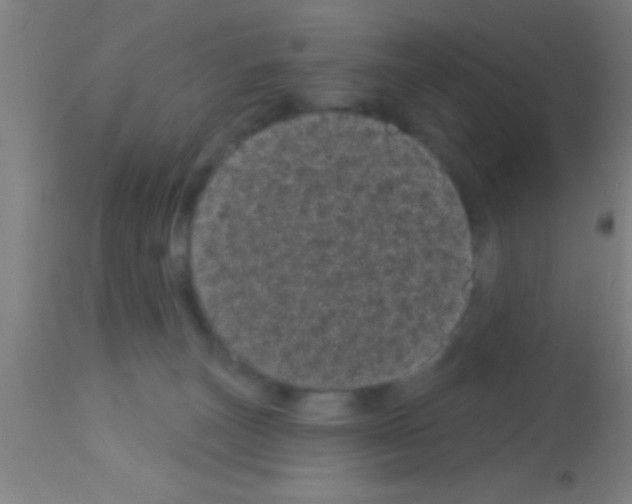 X0000113160179200910161253