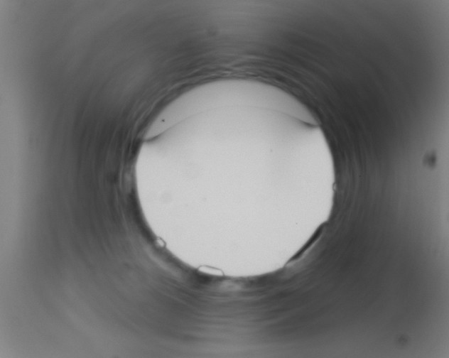 X0000113160180200910161253