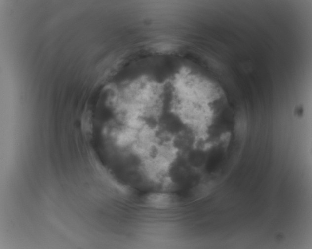 X0000113160181200910161253