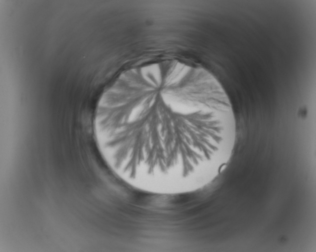 X0000113160182200910161253