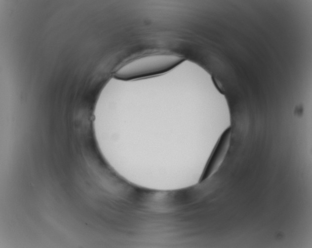 X0000113160184200910161253