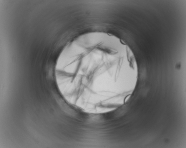 X0000113160185200910161253