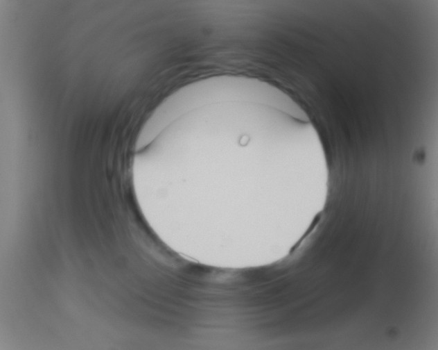 X0000113160186200910161253