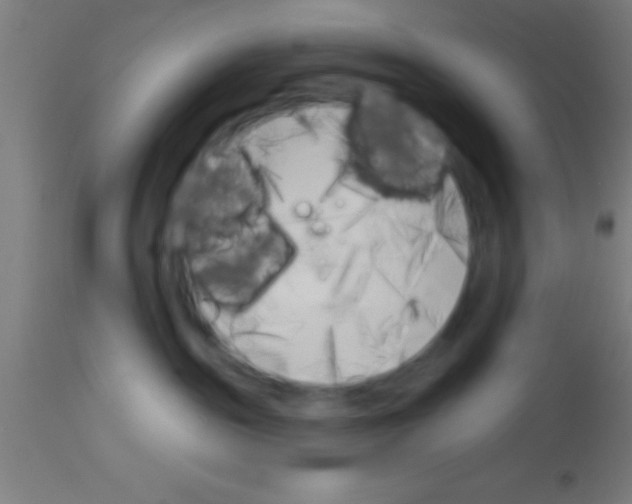 X0000113160189200910161253