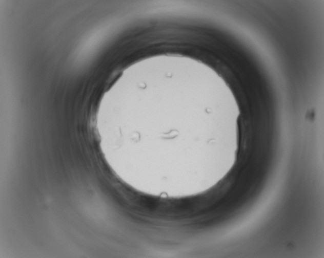 X0000113160190200910161253