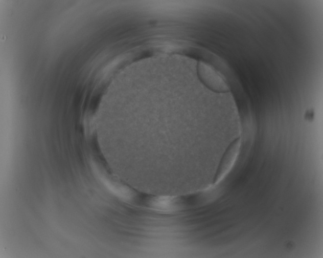 X0000113160191200910161253