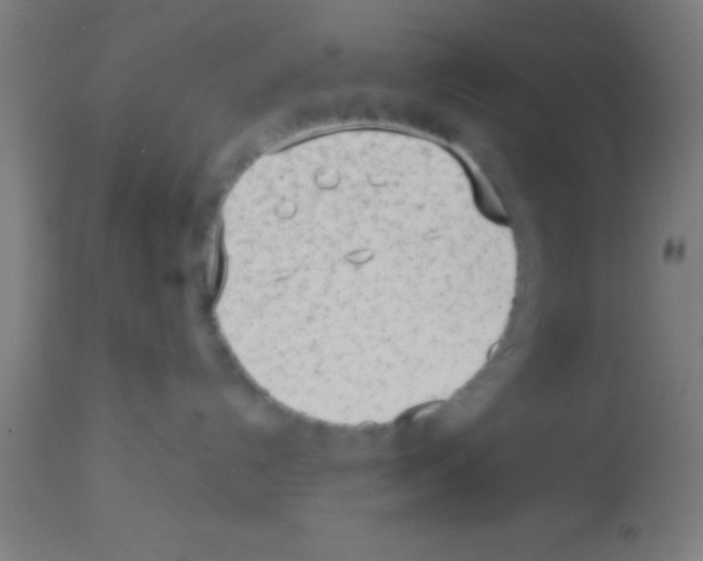 X0000113160192200910161253