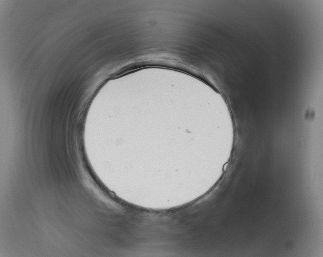 X0000113160193200910161252