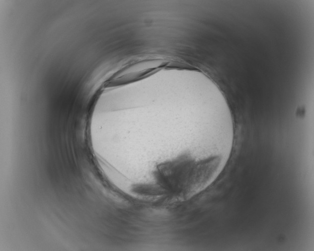 X0000113160194200910161252