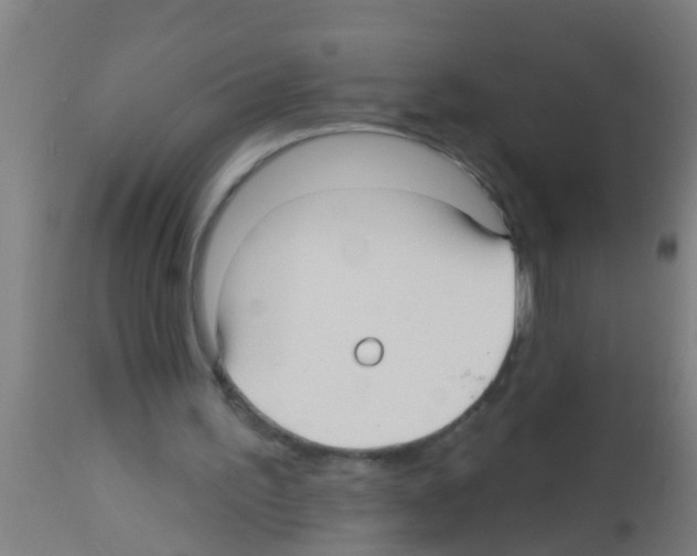 X0000113160195200910161252