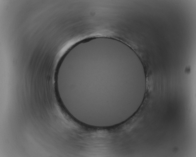 X0000113160196200910161252