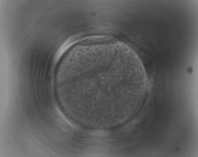 X0000113160198200910161252