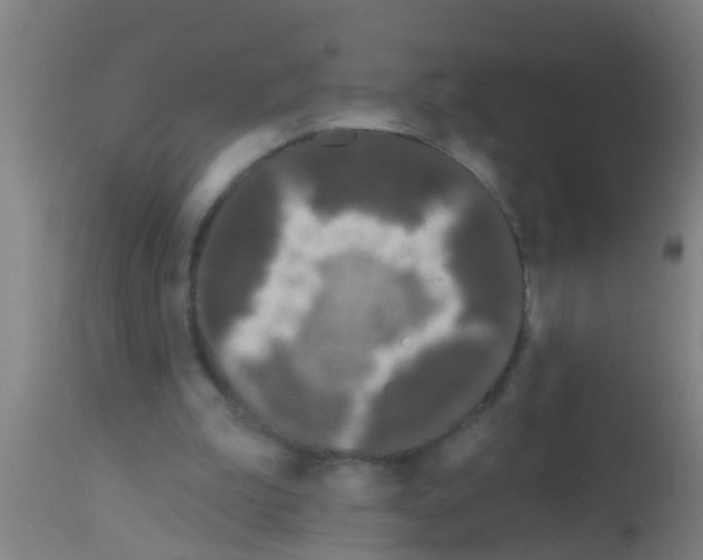 X0000113160199200910161252