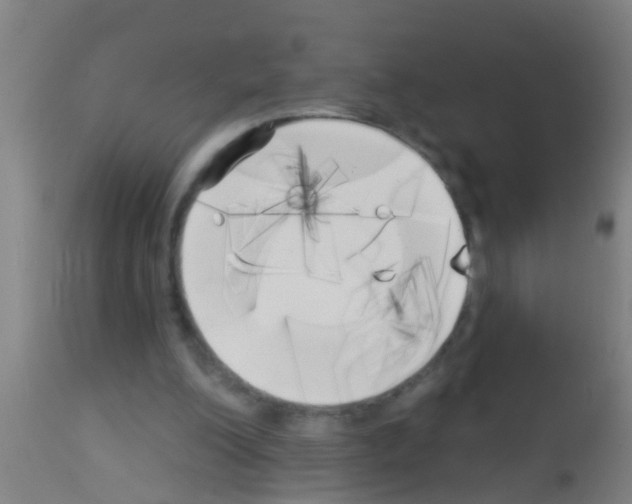 X0000113160200200910161252