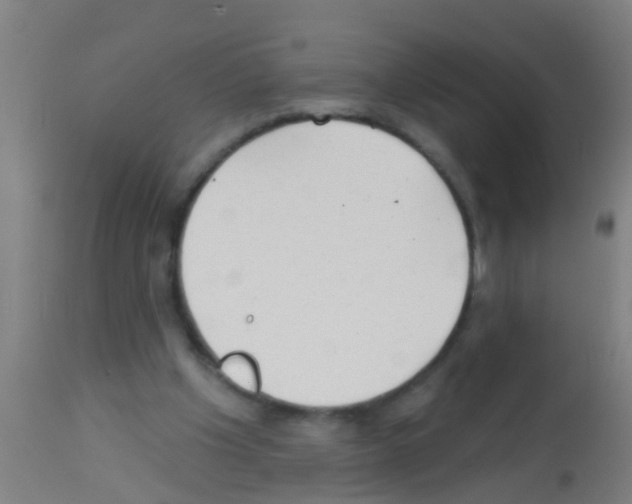 X0000113160201200910161252