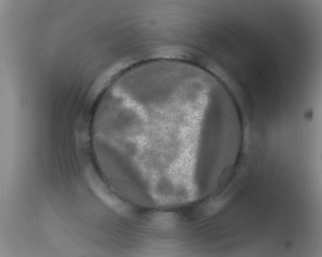 X0000113160203200910161252