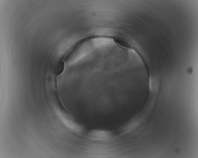 X0000113160205200910161252