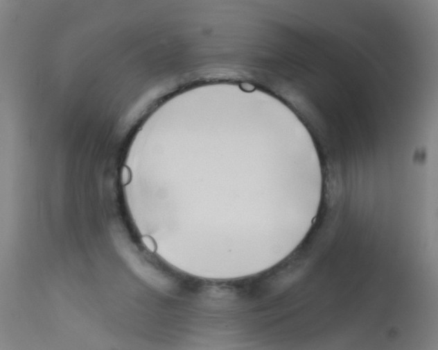 X0000113160207200910161252