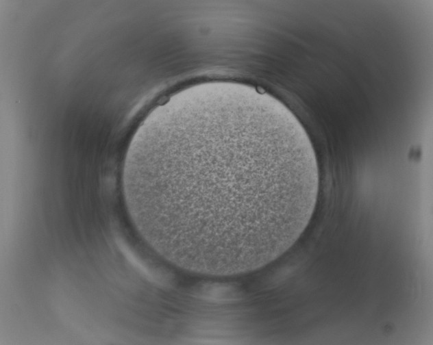 X0000113160208200910161252