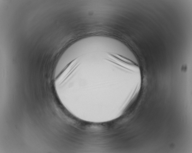 X0000113160209200910161252