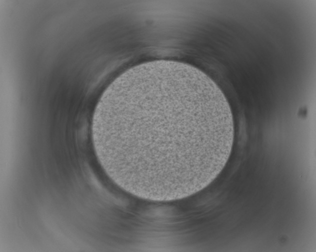 X0000113160210200910161252