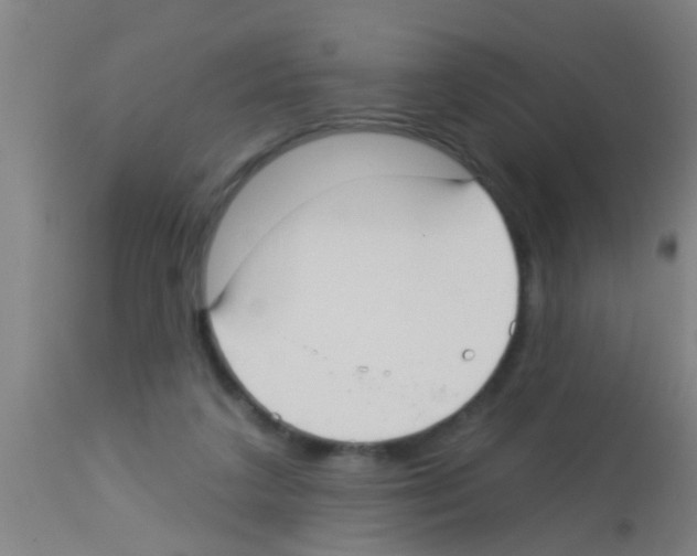 X0000113160211200910161252