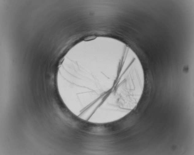 X0000113160212200910161252