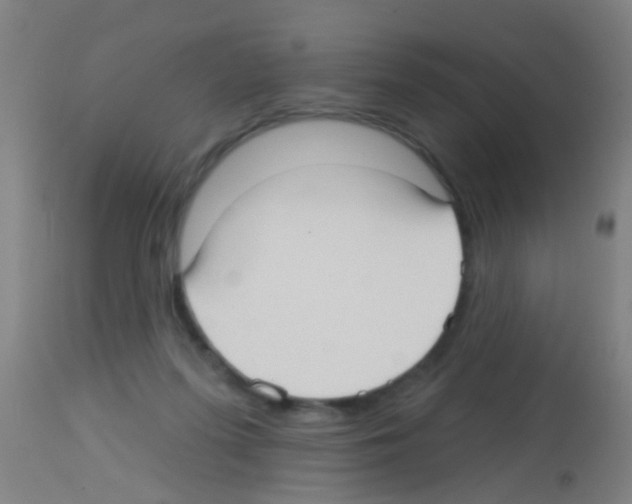 X0000113160215200910161252