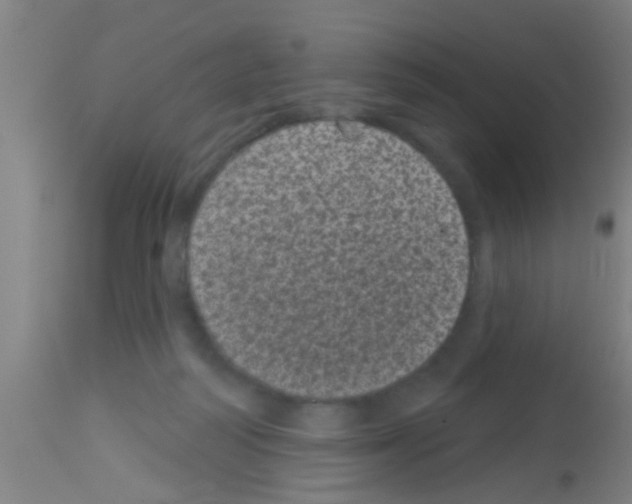 X0000113160218200910161252