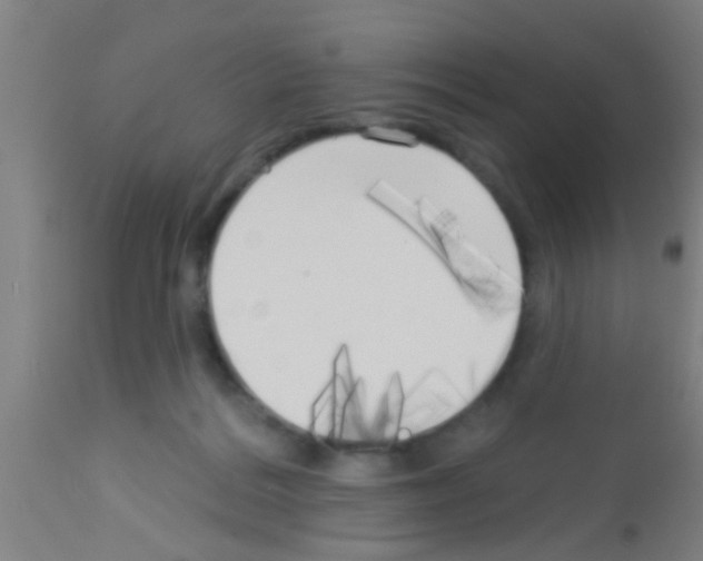 X0000113160220200910161252