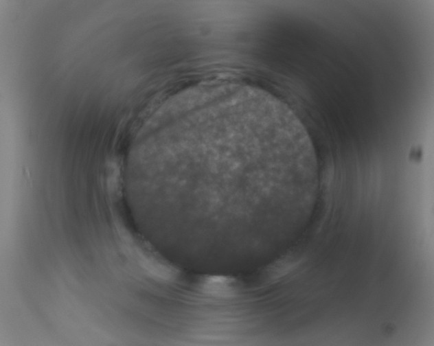 X0000113160222200910161252