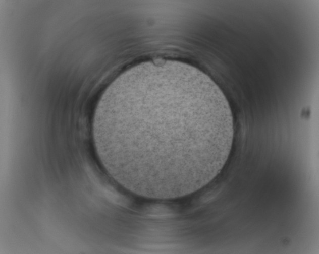 X0000113160224200910161251