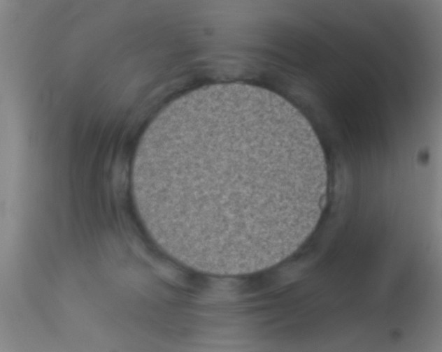 X0000113160226200910161251