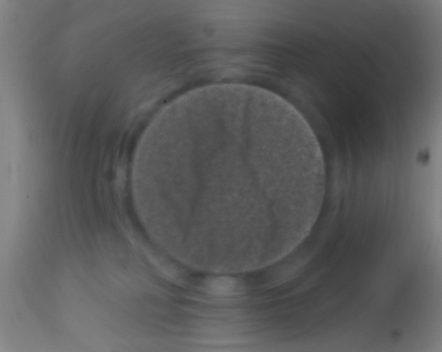 X0000113160230200910161251