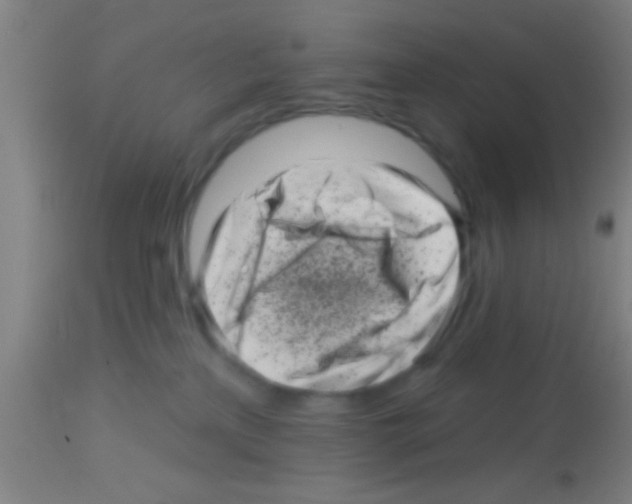 X0000113160233200910161251