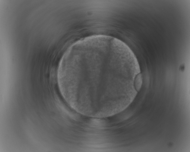 X0000113160234200910161251