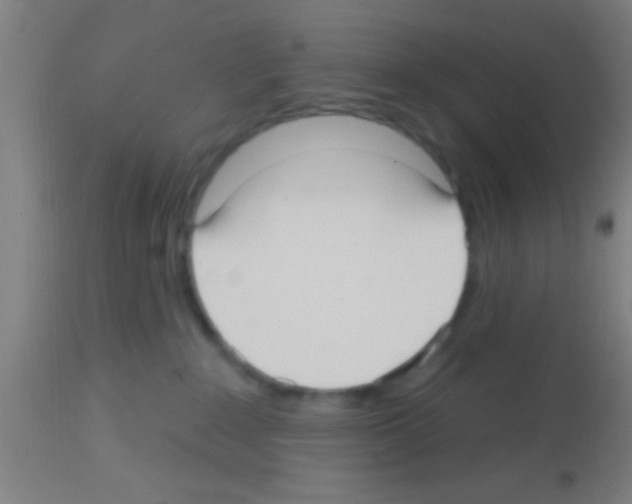 X0000113160235200910161251