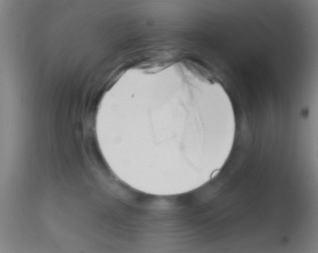 X0000113160236200910161251