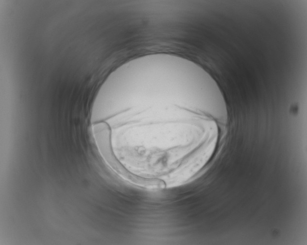 X0000113160237200910161251