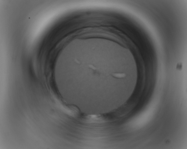 X0000113160239200910161251