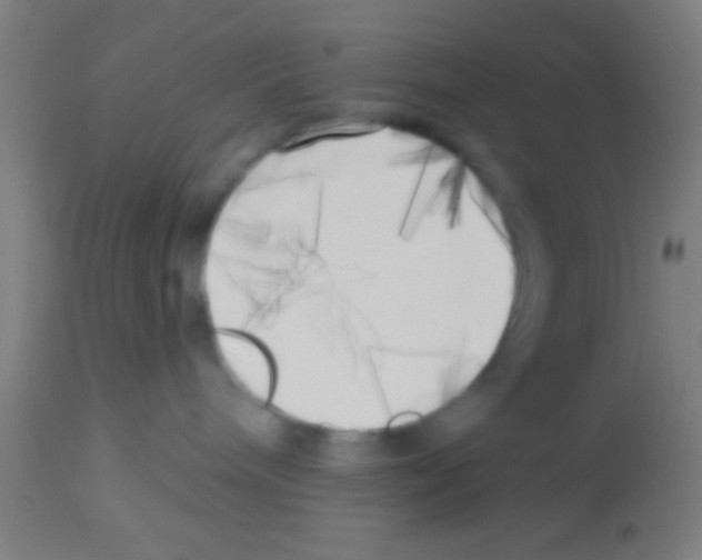 X0000113160240200910161251