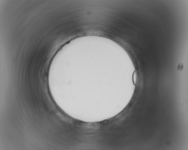 X0000113160241200910161251