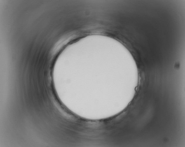 X0000113160245200910161251