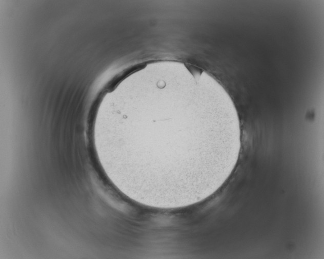 X0000113160246200910161251