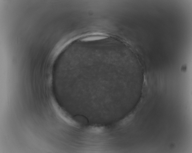 X0000113160247200910161251