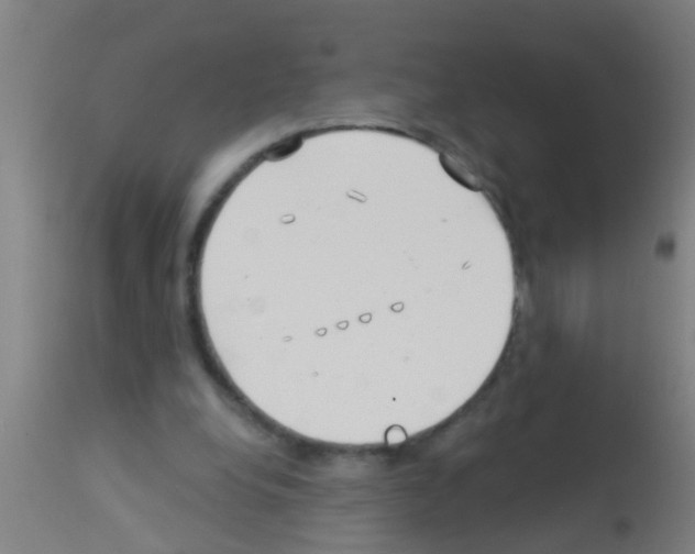 X0000113160248200910161251